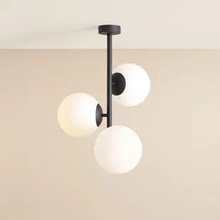 Fin M lampa sufitowa 3-punktowa czarna 1120PL_E1_M - Lampy sufitowe - miniaturka - grafika 1