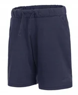 Spodenki męskie - 4F CHĹOPIÄCE KRĂ“TKIE SPODENKI DRESOWE BAWEĹNA / rozm 146 - miniaturka - grafika 1