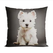 Poduszki - PIES TERRIER Poduszka z wypełnieniem silikonowym dwustronna MICROFIBRA, 40x40cm, kolor 001 T00020/SIL/001/040040/1 - miniaturka - grafika 1