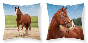 Detexpol Poszewka 40x40 bawełniana Koń MF003_20220409075845 - Poszewki na poduszki - miniaturka - grafika 1