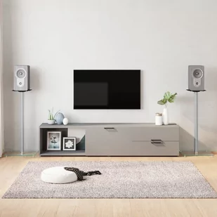 vidaXL Stojaki pod głośniki, 2 szt, srebrne, szkło hartowane, 1 słupek - Głośniki - stojaki i akcesoria - miniaturka - grafika 1