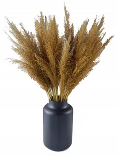 BOHO TRAWA SUSZONA SUSZKI DEKORACYJNE BUKIET 30SZT - Sztuczne kwiaty - miniaturka - grafika 1