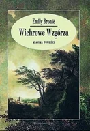 Literatura obyczajowa - Wichrowe Wzgórza - miniaturka - grafika 1