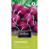 Nasiona i cebule - Rzodkiewka fioletowa Viola 5 g Eden - miniaturka - grafika 1