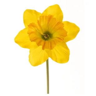 Żonkil pojedynczy na łodydze 51cm O482-061 Y1 sztuczny na łodydze żółty - Sztuczne kwiaty - miniaturka - grafika 1
