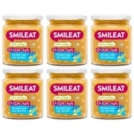 Dania dla dzieci - Smileat Słoiczek z ekologicznymi małymi kawałkami soczewicy i komosą ryżową po 10 miesiącu Zestaw 6 x 230 g Bio - miniaturka - grafika 1