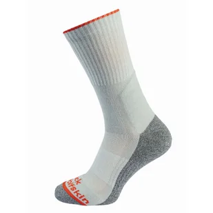 Skarpety trekkingowe Jack Wolfskin HIKE FUNC SOCK CL C light grey - 35-37 - Skarpetki męskie - miniaturka - grafika 1