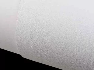 Fedrigoni Śnieżnobiały, fakturowany - skóra węża 1 str wzór, 240 g/m3, 72x102cm, Constellation Snow E53 Lizard. Karton ozdobny, 1 arkusz 10762253 - Akcesoria do reklamy - miniaturka - grafika 1