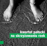 Folk - Na skrzyżowaniu rzek - miniaturka - grafika 1