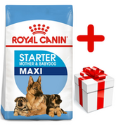 Sucha karma dla psów - Royal Canin Maxi Starter Mother&Babydog 15 kg - miniaturka - grafika 1