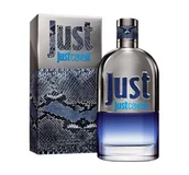 Wody i perfumy męskie - Roberto Cavalli Just Cavalli Woda toaletowa 90ml - miniaturka - grafika 1