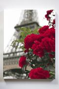 Malowanie po numerach - Wieża Eiffla, Paryż, Francja, malowanie po numerach - miniaturka - grafika 1