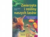 Przewodniki - Zwierzęta i rośliny naszych lasów książka - miniaturka - grafika 1