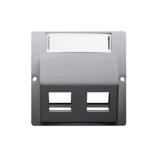 Kontakt Simon Pokrywa gniazd teleinformatycznych na Keystone skośna podwójna z polem opisowym BASIC inox, metalizowany - Inne akcesoria elektryczne - miniaturka - grafika 1
