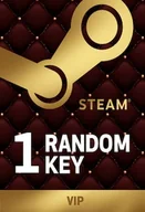 Gry PC Cyfrowe - Random VIP 1 Key - Steam Key - GLOBAL - miniaturka - grafika 1