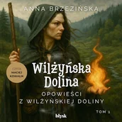 Audiobooki - fantastyka i horror - Opowieści z Wilżyńskiej Doliny Anna Brzezińska - miniaturka - grafika 1