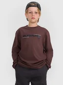 Koszulki dla chłopców - 4F Longsleeve regular z nadrukiem chłopięcy - brązowy 128 (7-8 lat) - miniaturka - grafika 1