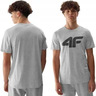 Koszulki męskie - Koszulka Męska 4F T-shirt Bawełniany Sportowy Duże Logo Limitowany SS24 - miniaturka - grafika 1