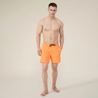 Spodnie sportowe męskie - Męskie spodenki plażowe OUTHORN SKMT601 - Outhorn - grafika 1