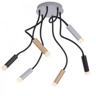 Paul Neuhaus PURE Pure-Gemin lampa sufitowa 6-pkt. mix - Lampy sufitowe - miniaturka - grafika 1