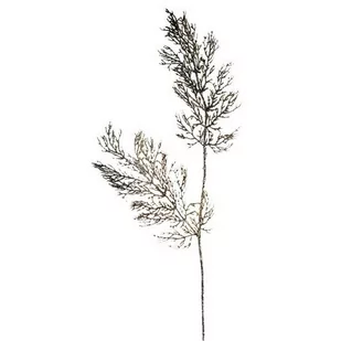 Sztuczny liść na łodydze z brokatem, wys. 90 cm, 2 szt. - Ozdoby bożonarodzeniowe - miniaturka - grafika 1