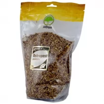 Astron Ostropest plamisty ziarno 1kg AS064 - Zioła - miniaturka - grafika 1