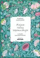 Powieści i opowiadania - ADAMADA Miejsca rzeczy zapomnianych - Krystyna Chołoniewska - miniaturka - grafika 1