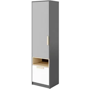 Szafa jednodrzwiowa, Pok, 50x40x193 cm, biel, grafit, buk ibsen, szary jasny, mat - Szafy Szafa jednodrzwiowa, Pok, 50x40x193 cm, biel, grafit, buk ibsen, szary jasny, mat - Szafy - miniaturka - grafika 1