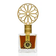 Wody i perfumy unisex - Angela Ciampagna Ignes perfumy 100 ml - miniaturka - grafika 1