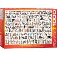 Puzzle - Eurographics Puzzle 1000 elementów. Świat kotów - miniaturka - grafika 1
