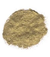 Zioła - Planteon Moringa oleifera mielona 1kg 2-0090-02-1 - miniaturka - grafika 1