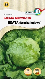 Sałata głow.krucha Beata nasiona 1g / L / - Nasiona i cebule - miniaturka - grafika 1
