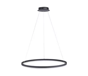 Paul Neuhaus Oświetlenie TITUS Lampa Wisząca LED Antracytowy, 1-punktowy 2383-13 - Lampy sufitowe - miniaturka - grafika 2