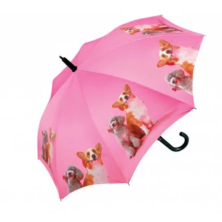 Parasole - Psy - parasol strzelający dla dzieci - grafika 1
