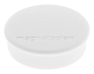 MAGNETOPLAN Magnesy HOBBY 0.3 kg 25 x 8 mm BIAŁY 10 szt 1664500 - Magnesy - miniaturka - grafika 2