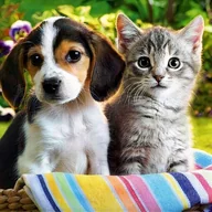 Zabawki kreatywne - HAFT DIAMENTOWY DIAMOND PAINTING URODZINY P6 - miniaturka - grafika 1