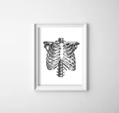 Plakaty - Plakat w stylu retro Anatomiczny Szkielet - miniaturka - grafika 1