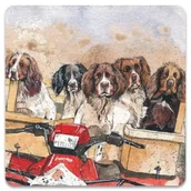 Magnesy - Magnes FM250 Psy Spaniele - Alex Clark - miniaturka - grafika 1