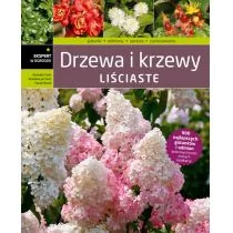 Drzewa i krzewy liściaste - Szmit Bronisław, Szmit Bronisław Jan, Maciej Mynett - Rośliny i zwierzęta - miniaturka - grafika 1