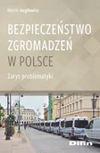 Poradniki hobbystyczne - Bezpieczeństwo zgromadzeń w Polsce Marcin Jurgilewicz - miniaturka - grafika 1