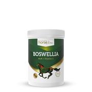 Pasze dla zwierząt - HorseLinePro Boswellia Seratta 900g DLA KONIA - miniaturka - grafika 1