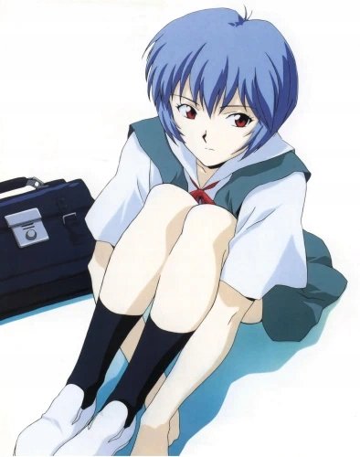 Plakat Anime Neon Genesis Evangelion NGE_295 A1+ Custom Manga