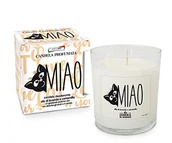 Świece - Cereria di Giorgio Świeca zapachowa w szklance Miao, wosk, biały, 8,5x8,5x9 - miniaturka - grafika 1