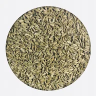 Herbata - Koper fenkuł włoski nasiona kopru włoskiego 100 g - miniaturka - grafika 1