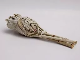 Szałwia Biała - PĘCZEK - Kadzidła i dodatki - miniaturka - grafika 1