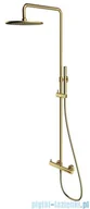 Baterie umywalkowe - Omnires Y zestaw prysznicowy natynkowy mosiądz szczotkowany Y1244MBSB - miniaturka - grafika 1