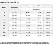 Koszulki męskie - 4F MÄSKA TERMOAKTYWNA KOSZULKA SPORTOWA T-SHIRT / rozm L - miniaturka - grafika 1