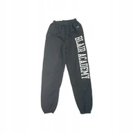 Spodnie męskie - Spodnie dresowe męskie CHAMPION S - miniaturka - grafika 1