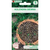 Nasiona i cebule - Kolendra siewna W.Legutko - miniaturka - grafika 1