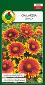 Nasiona i cebule - Gailardia trwała mieszana 1,5 g PNOS - miniaturka - grafika 1